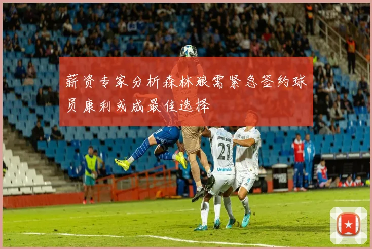 薪资专家分析森林狼需紧急签约球员康利或成最佳选择